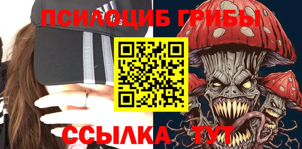 Сухой Лог  Псилоцибиновые грибы Psilocybe  Вход с VPN 