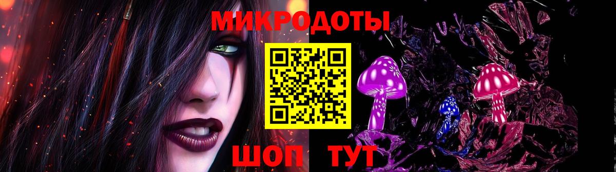 Псилоцибиновые грибы Psilocybine cubensis Сухой Лог